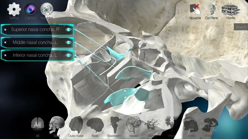 3D解剖学アトラス：iRis screenshot 4 of 5