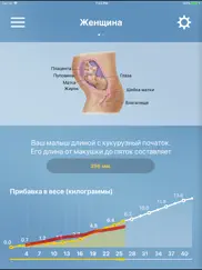 Я беременна айпад изображения 3