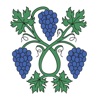 Dossenheim App icon