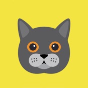 Cat Wisdom - Cat Lovers App