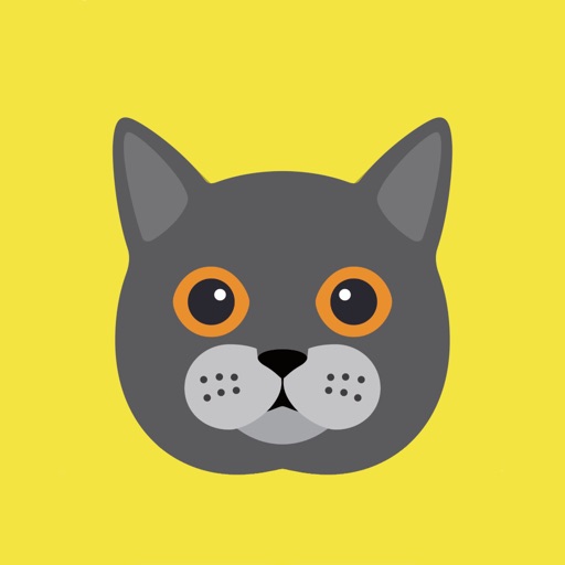 Cat Wisdom - Cat Lovers App