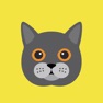 Get Cat Wisdom - Cat Lovers App for iOS, iPhone, iPad Aso Report