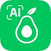 Calscanai icon