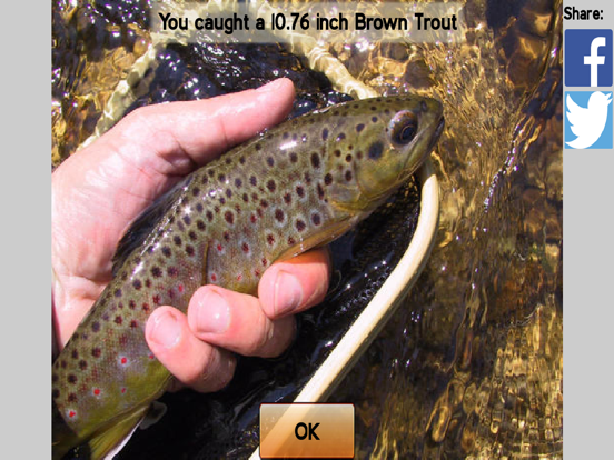 Screenshot #6 pour Fly Fishing Simulator HD