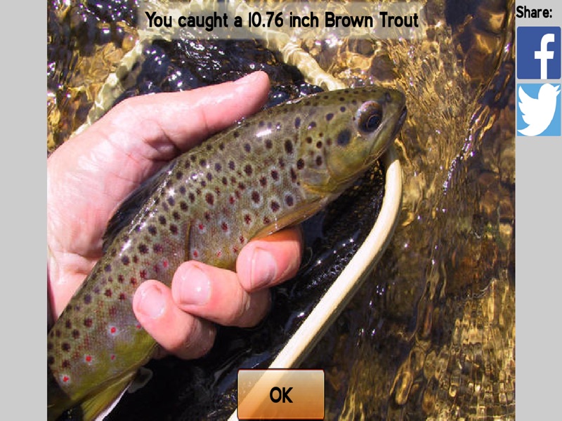 Fly Fishing Simulator HD screenshot 9
