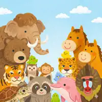 Jungle Library: Sounds & About