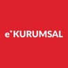 e-Kurumsal icon