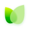 Plant Identifier - BotaniQ icon