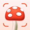 Mushroom Identifier: Fungi ID. icon