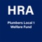 Make the most of your HRA account by quickly checking your balances and details