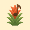 bromelia-app logo