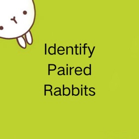 IdentifyPairedRabbits