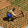 Game of Empires:Warring Realms - Droupnir Entertainment Limited