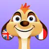 Similar Learn French + Apps