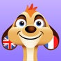 Learn French + app download