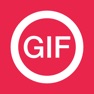 Get Gif Viewer & Player for iOS, iPhone, iPad Aso Report
