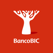 BIC Mobile