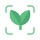 Free Plant Identifier