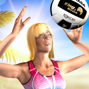 King of the Court Beach Volley