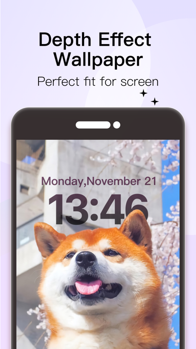 Widgetal Screenshot