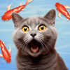 Giochi per Gatti e Gattiniㅤ - ALPTEKIN AYDIN
