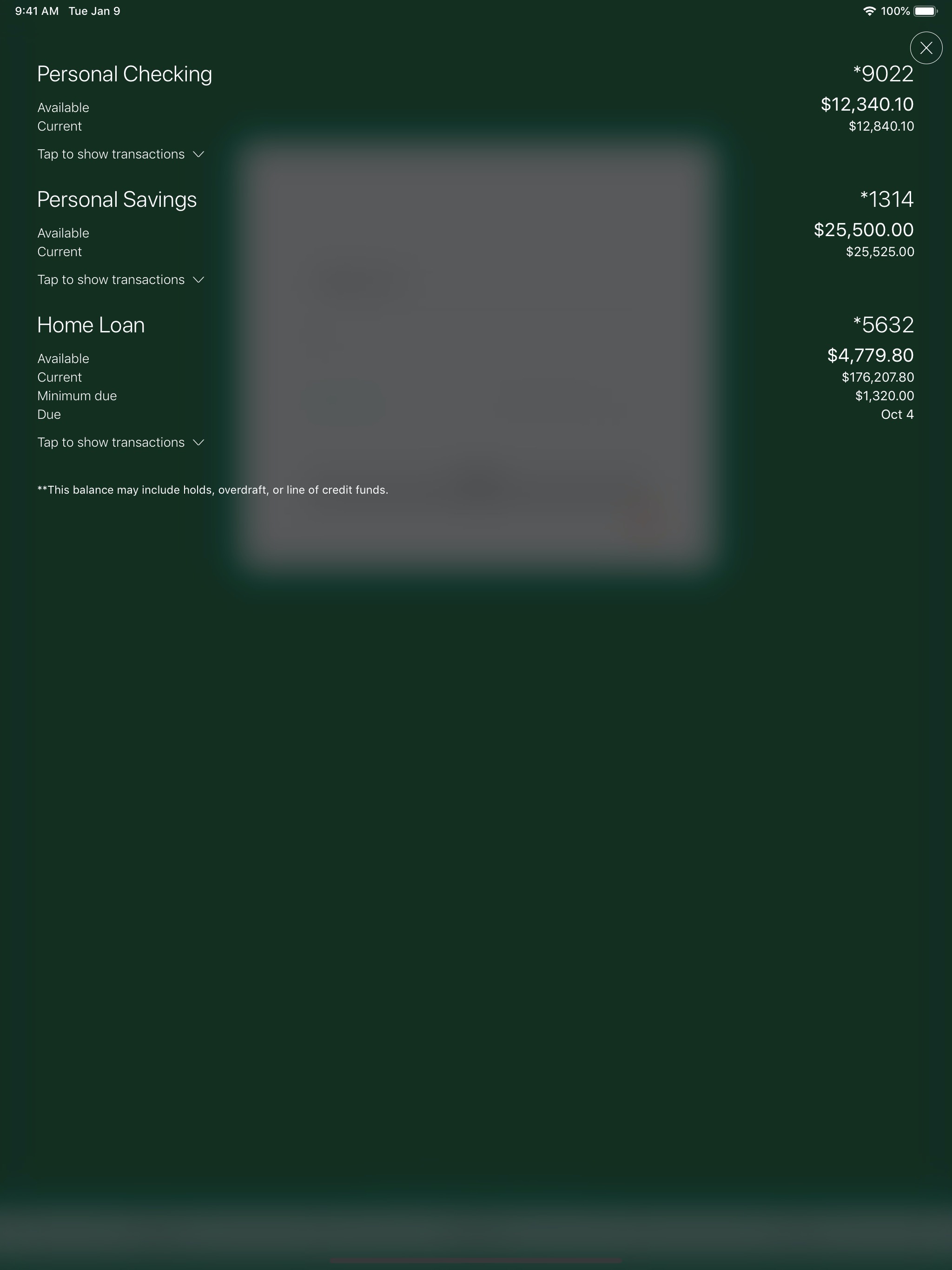 SouthPoint FCU screenshot 6