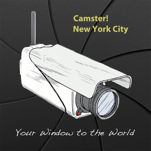 Camster! New York City icon