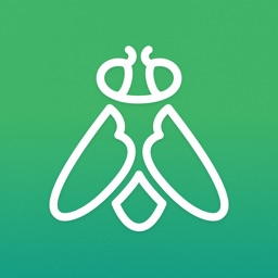 Greenfly