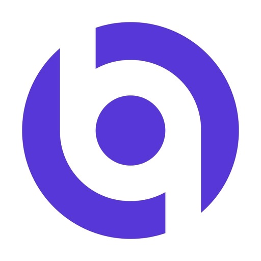 Berqnet SASE Connect