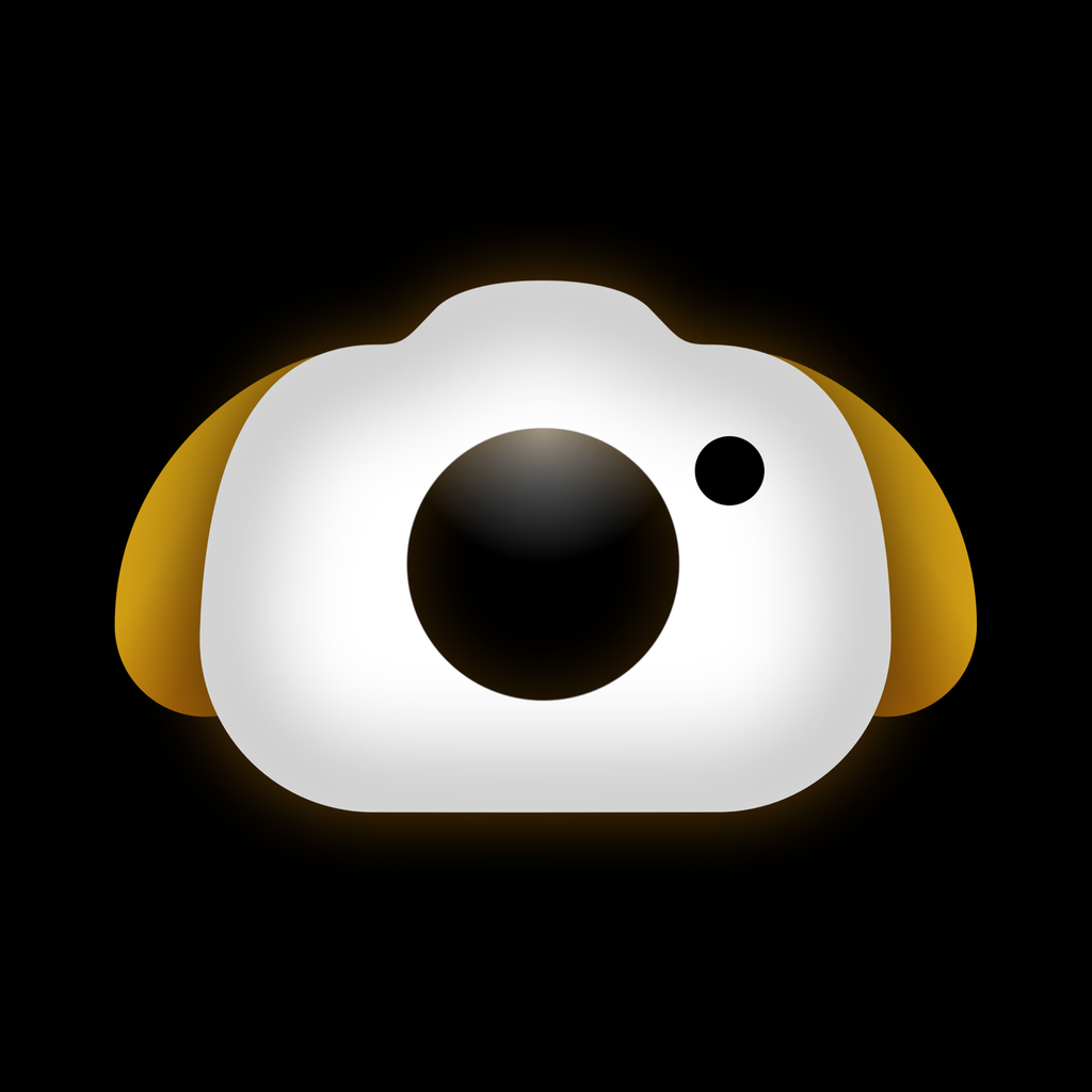 Get RawDog Camera for iOS, iPhone, iPad Aso Report