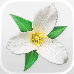 Washington Wildflowers app icon