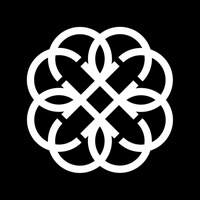 Contact AI Chat: Pixi