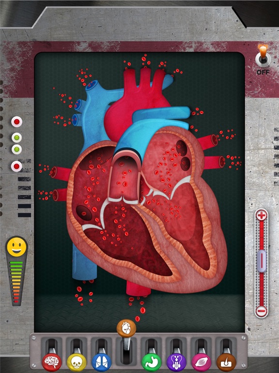 The Human Body: Learn Anatomy iPad screenshot 6 - Education app