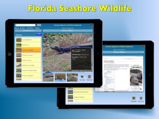 Screenshot #5 pour Florida Seashore Wildlife
