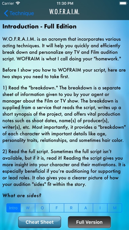 Actor Audition App