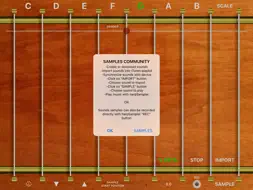 harpSampler screenshot 10