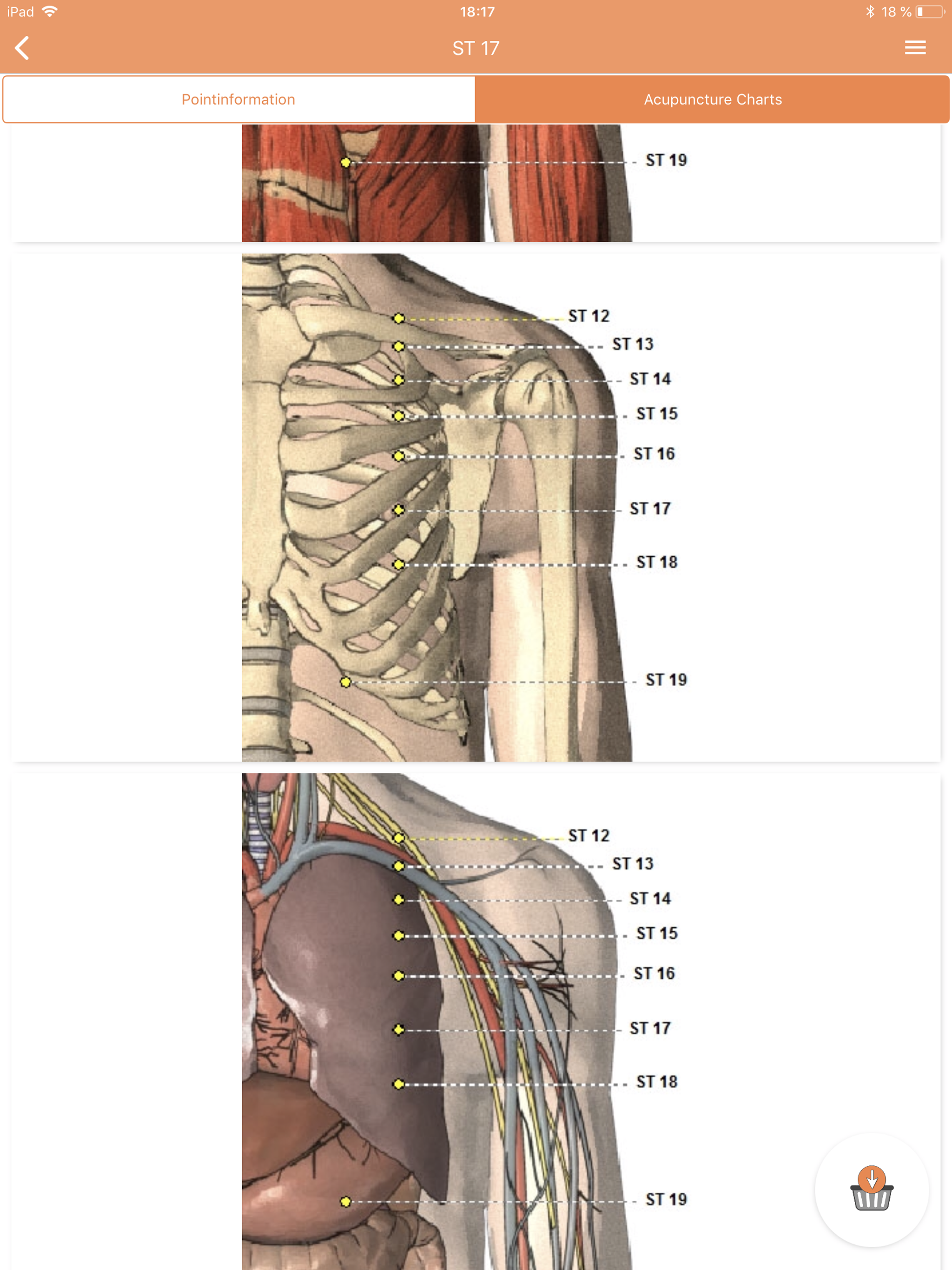 Shen-Acupuncture