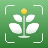 AI Plant Identifier: ID & Care icon
