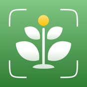 AI Plant Identifier: ID & Care