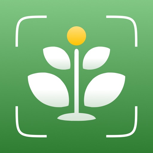 AI Plant Identifier: ID & Care