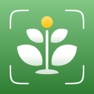 Get AI Plant Identifier: ID & Care for iOS, iPhone, iPad Aso Report