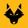 WeAreWolves - Live Scores