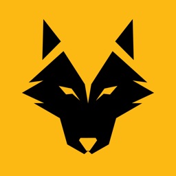 WeAreWolves - Live Scores