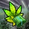 Hempire - Weed Growing Game