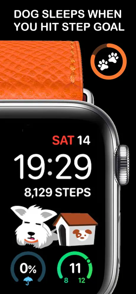 StepDog - cão de estimação