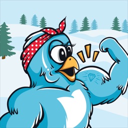 Buff Chick Supplements