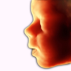 ScanBaby learn baby ultrasound - Scanbooster