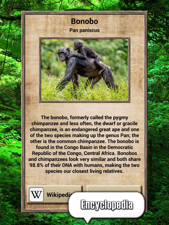 Animal Kingdom - Quiz Game iPad screenshot 5 - Games app