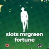 Slots Mrgreen: Fortune icon