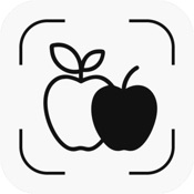 AI Calorie Counter App